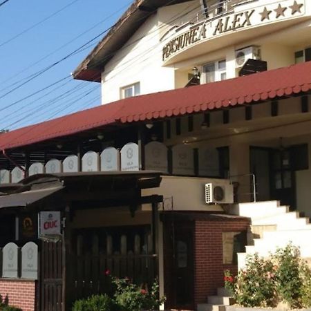 Vila Alex&Razvan Tulcea Eksteriør bilde